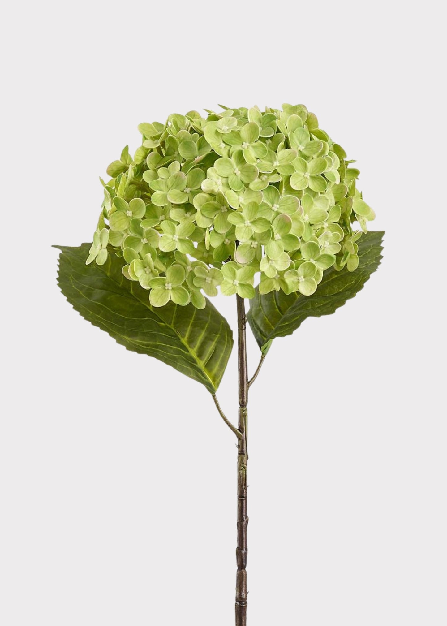 Artificial Hydrangea Flower in Green - 24.5"