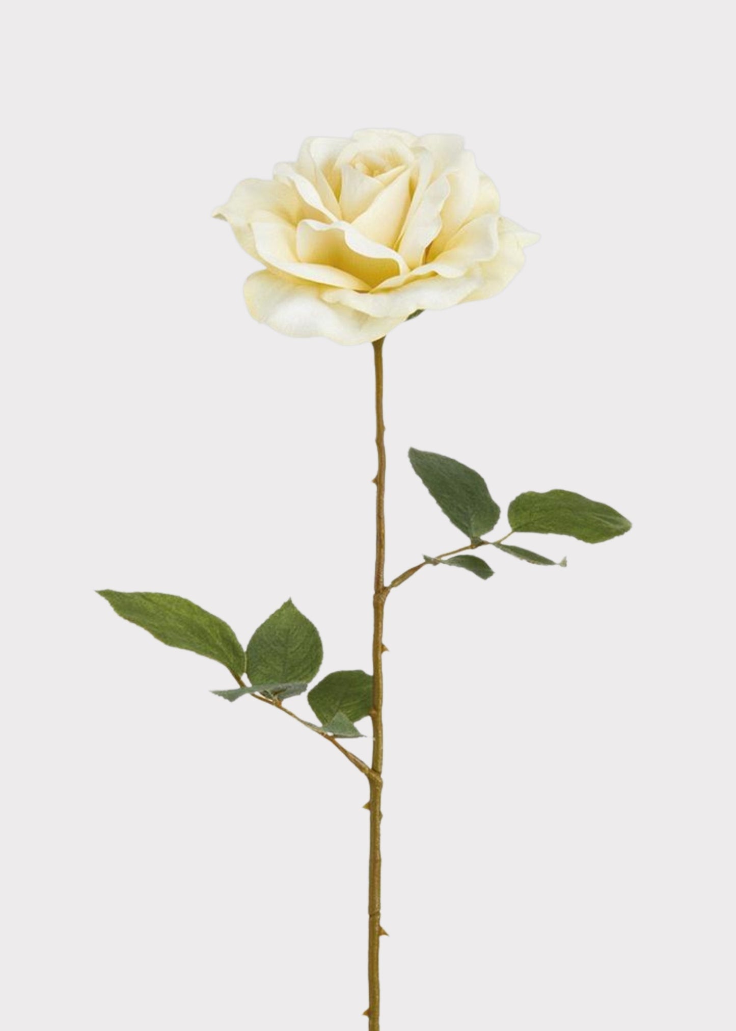 Ivory Artificial Rose Flower - 25"