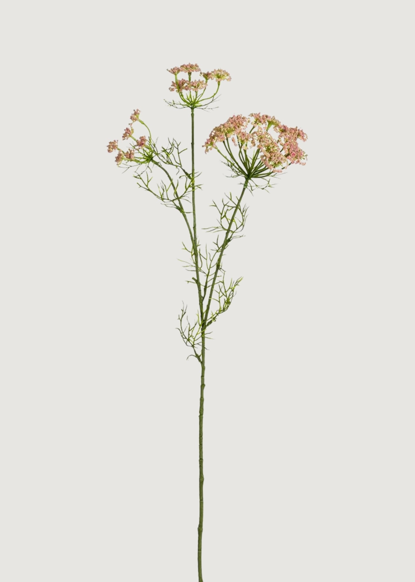 Fake Wildflowers Dill Branch in Pink - 35"