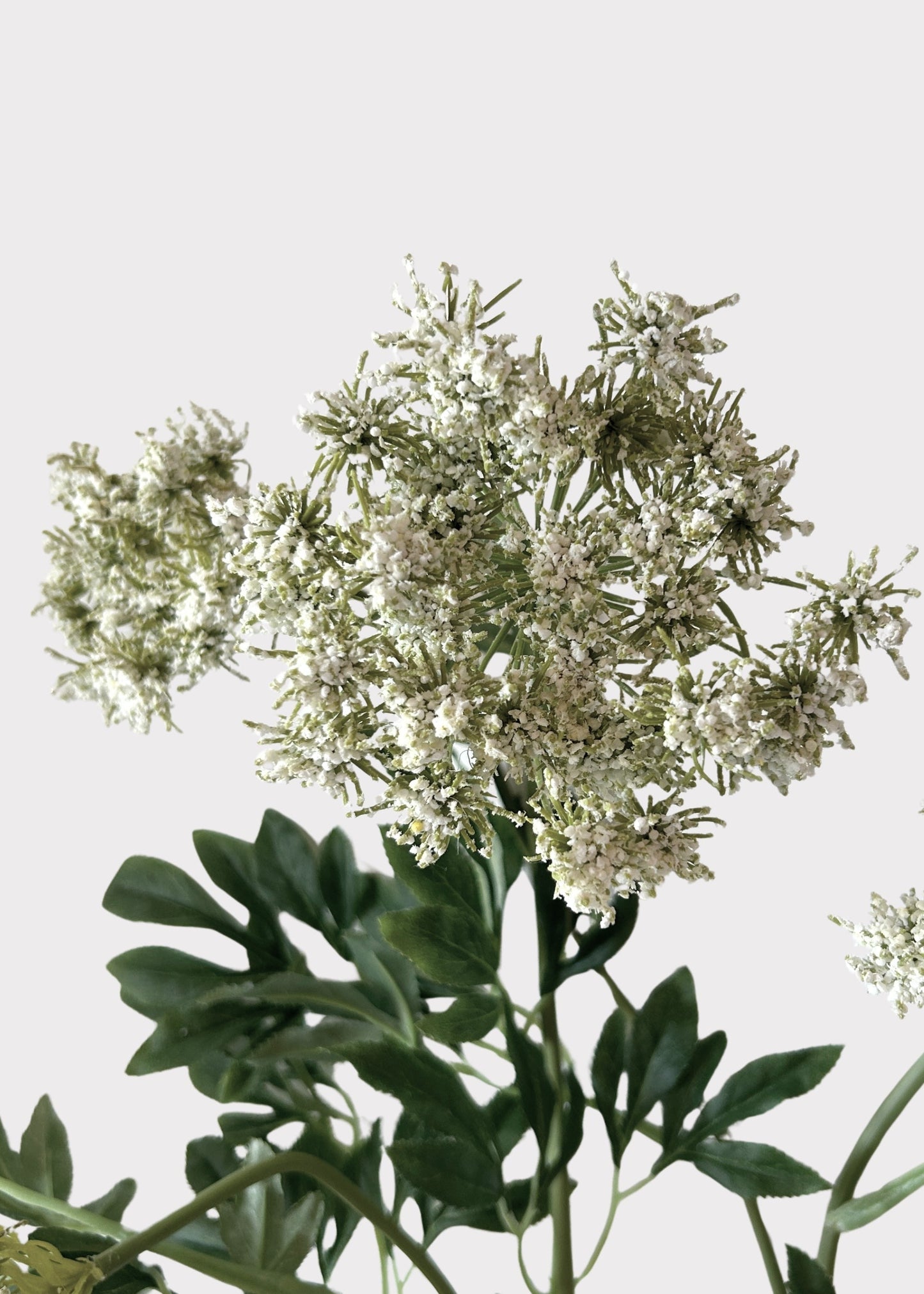 Tall Queen Anne's Lace Fake Wildflower Branch - 35.5"