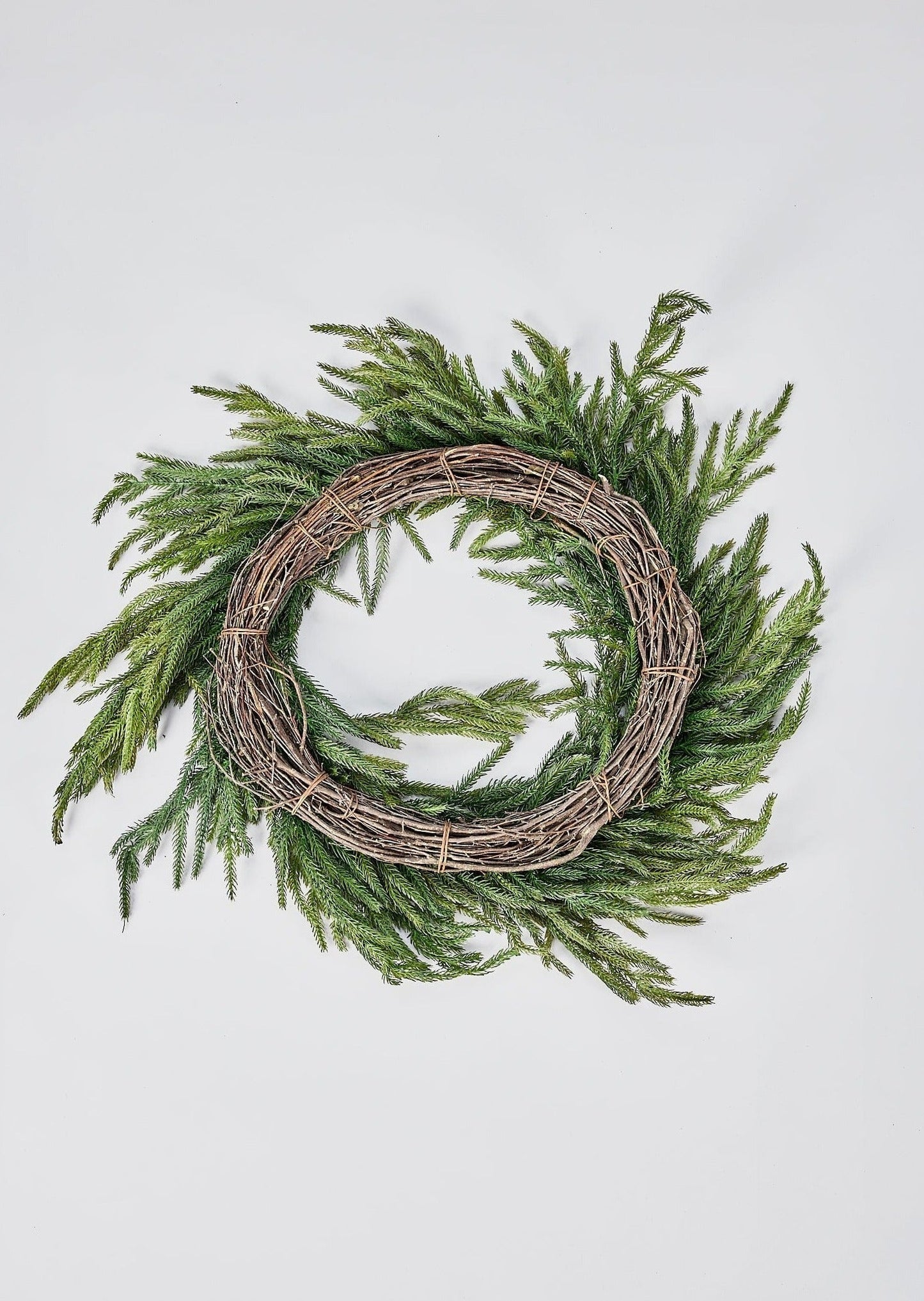 AfloralTM Real Touch Norfolk Pine Wreath - 24"