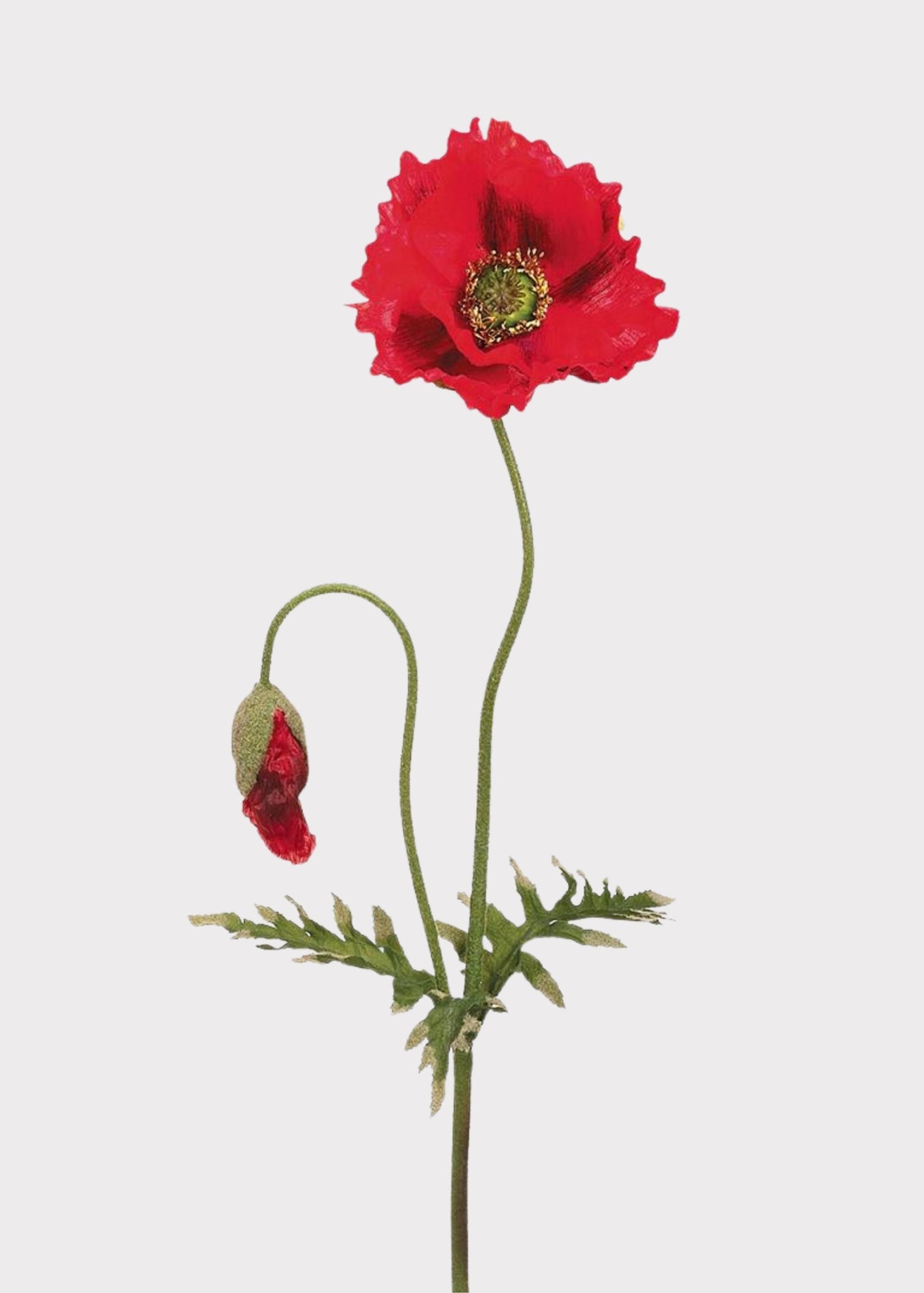 Large Bloom Fake Poppy Wildflower in Red - 35.5"