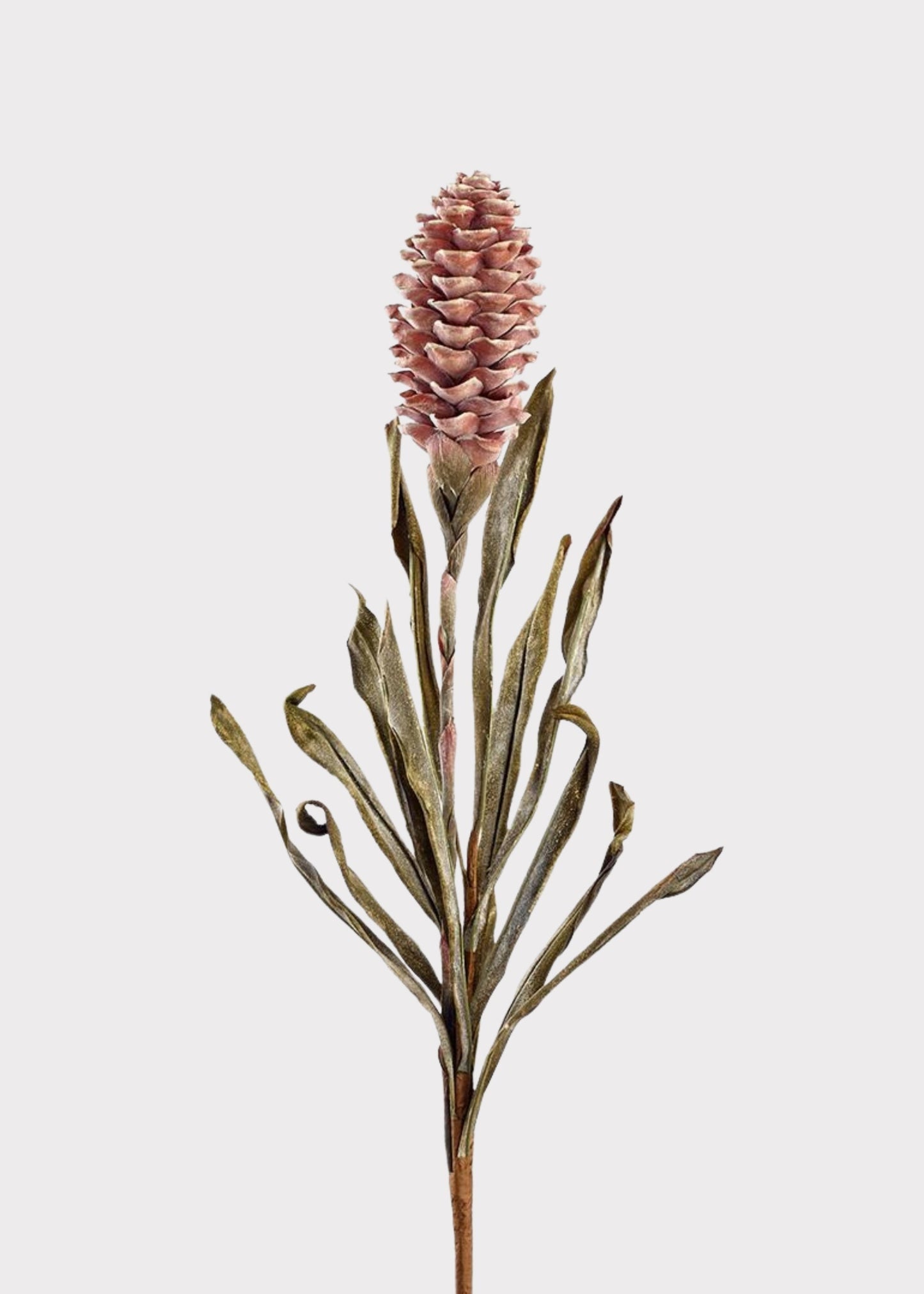 Dried Look Tropical Ginger Fake Flower in Earthy Brown - 33.5"