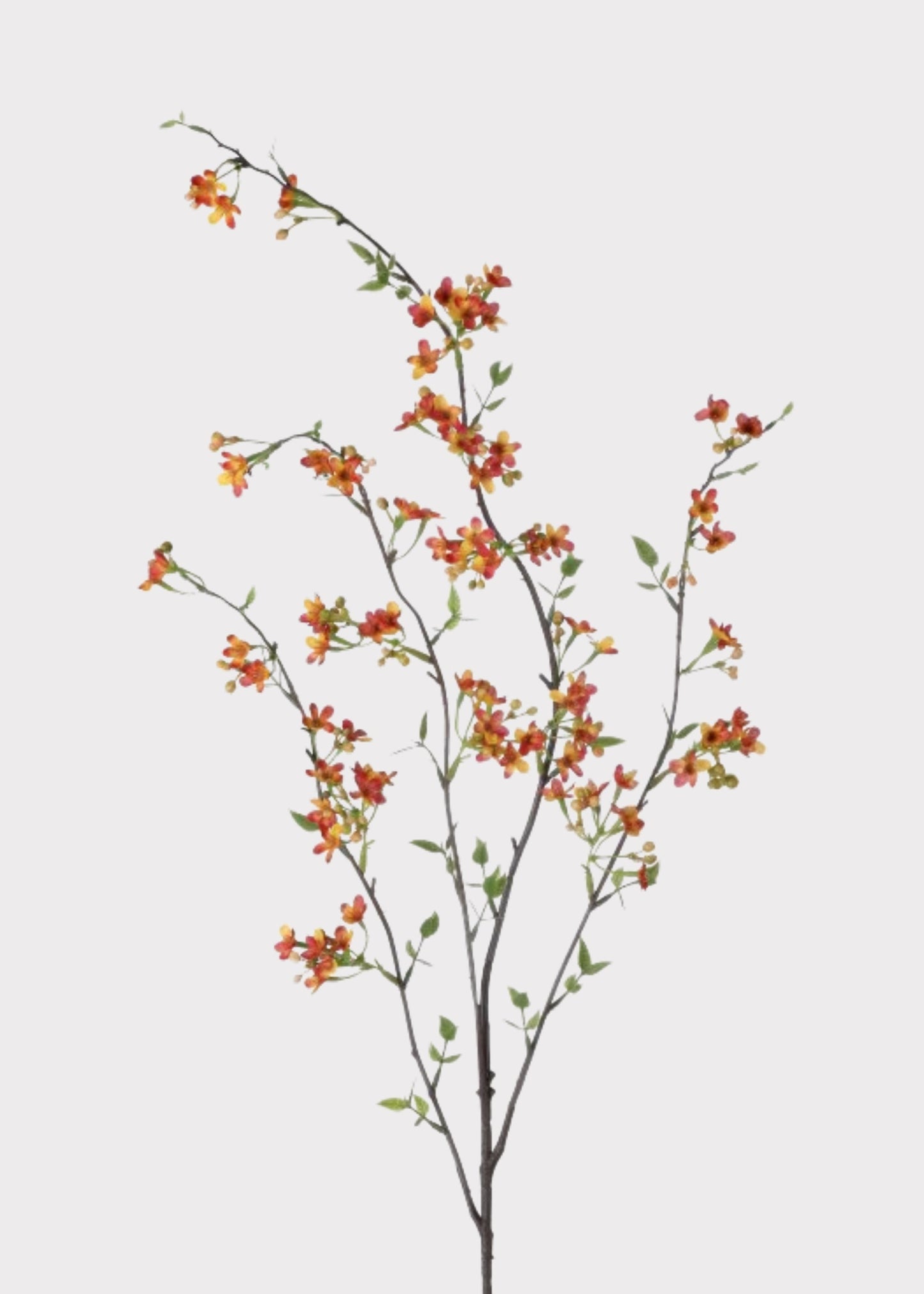 Orange Artificial Waxflower Blossom Branch - 40"