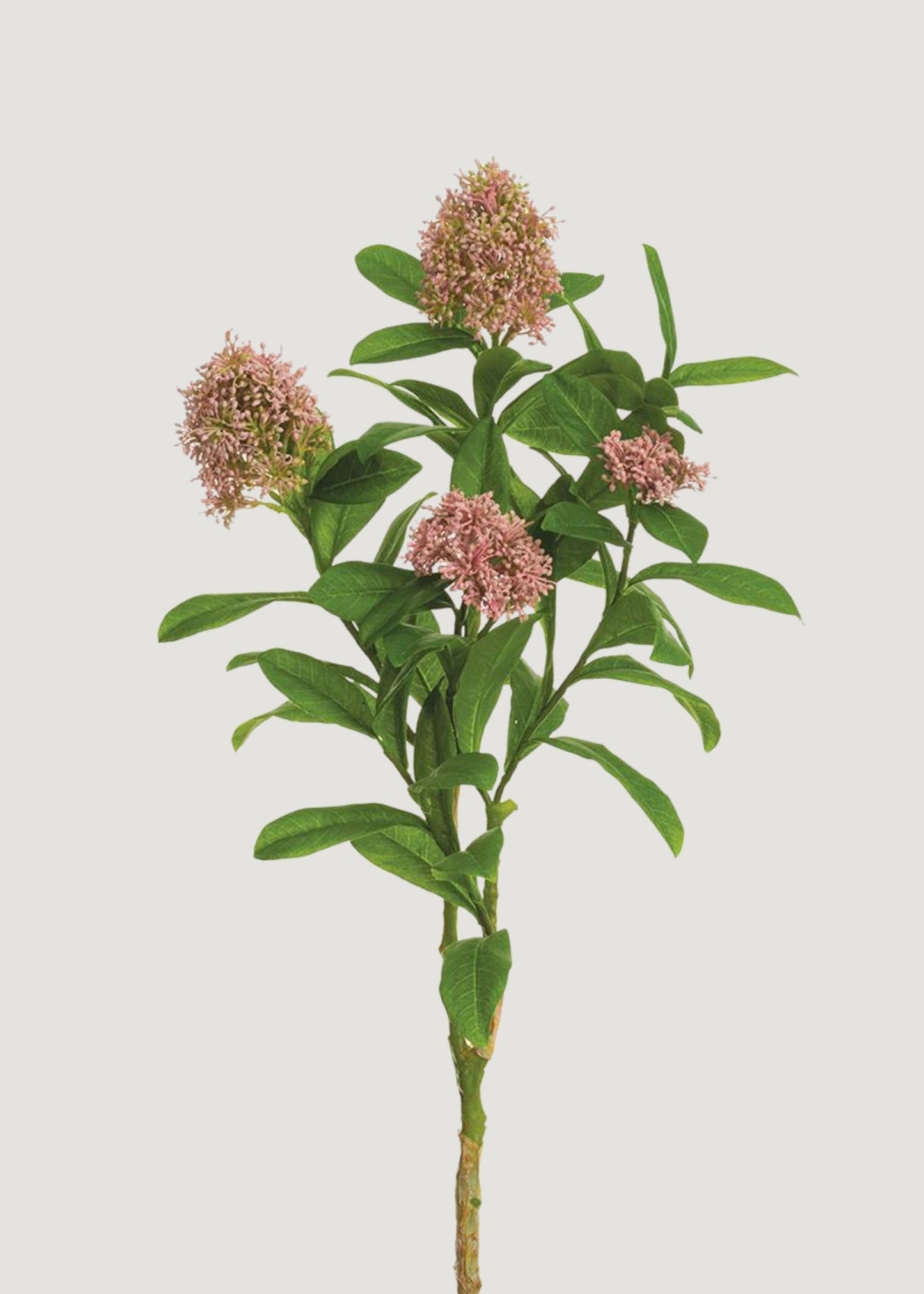 Artificial Skimmia Flower Cluster Branch in Mauve - 26"