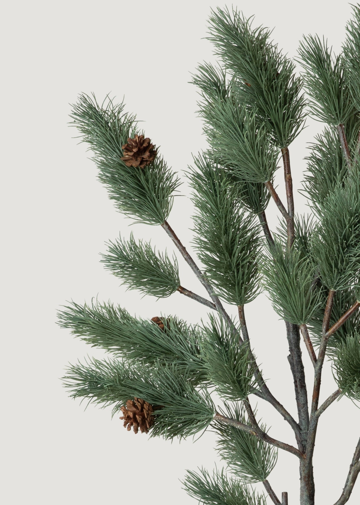 Oversized Deluxe Blue Spruce Pine Branch - 51"
