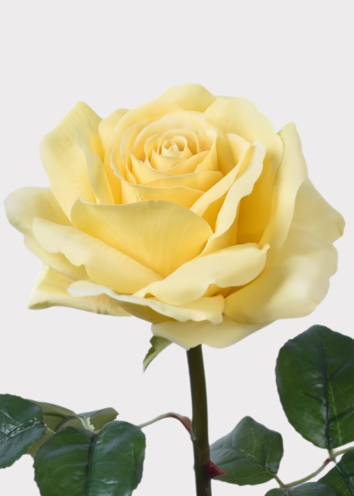 Yellow Artificial Natural Touch Rose - 35.25"