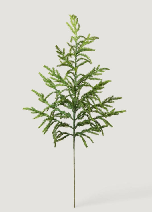 AfloralTM Real Touch Norfolk Pine Branch - 36"