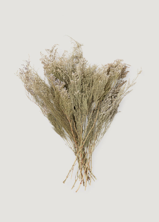 Natural White Dried Caspia Flowers - 4 oz Bunch