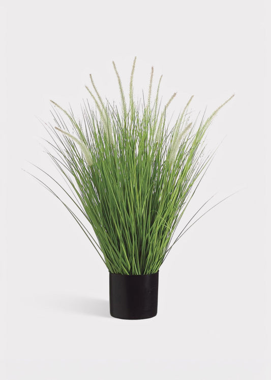 Tall Artificial Potted Dog Tail Onion Grass Plant - 34"