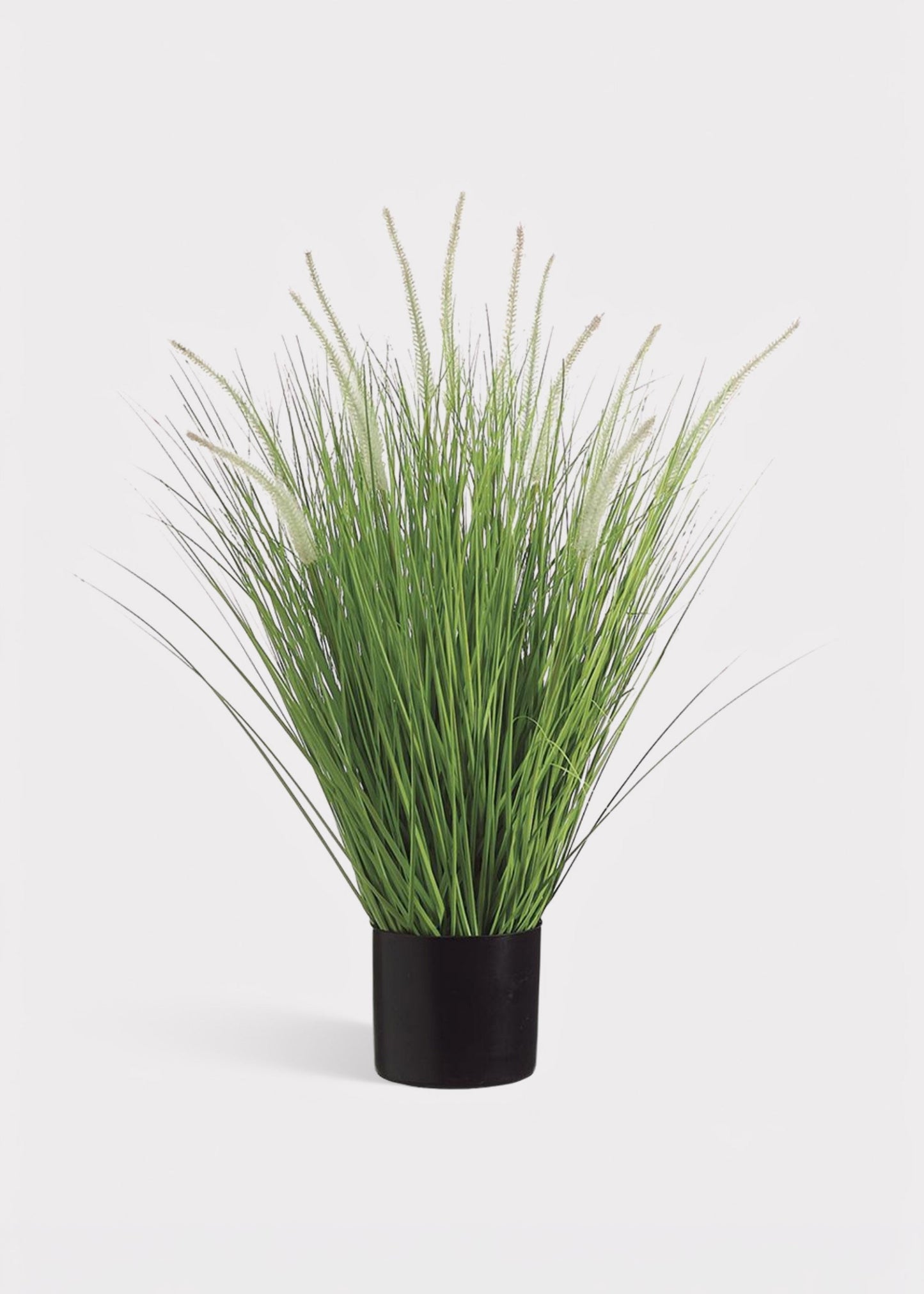 Tall Artificial Potted Dog Tail Onion Grass Plant - 34"