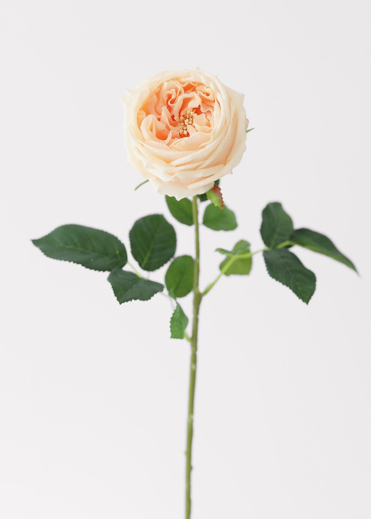 Peach Real Touch Rose Artificial Flower - 24"