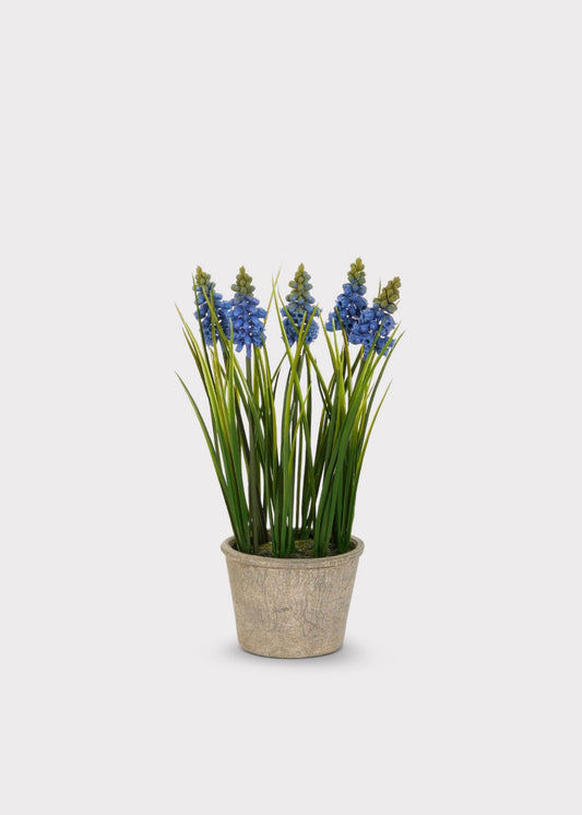 Blue Blooming Grape Hyacinth Fake Flower Potted Plant - 11.5"
