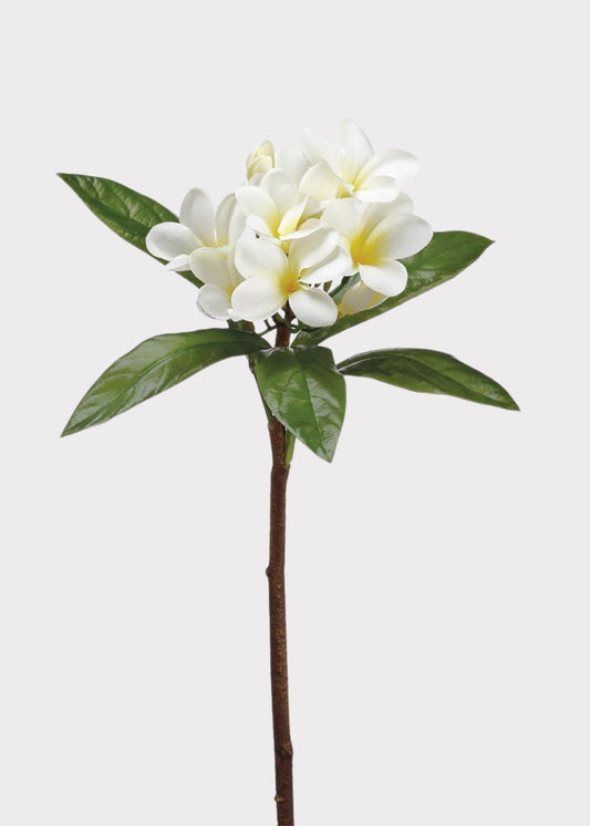 Tropical Plumeria Artificial Flowers in Cream Yellow - 22"