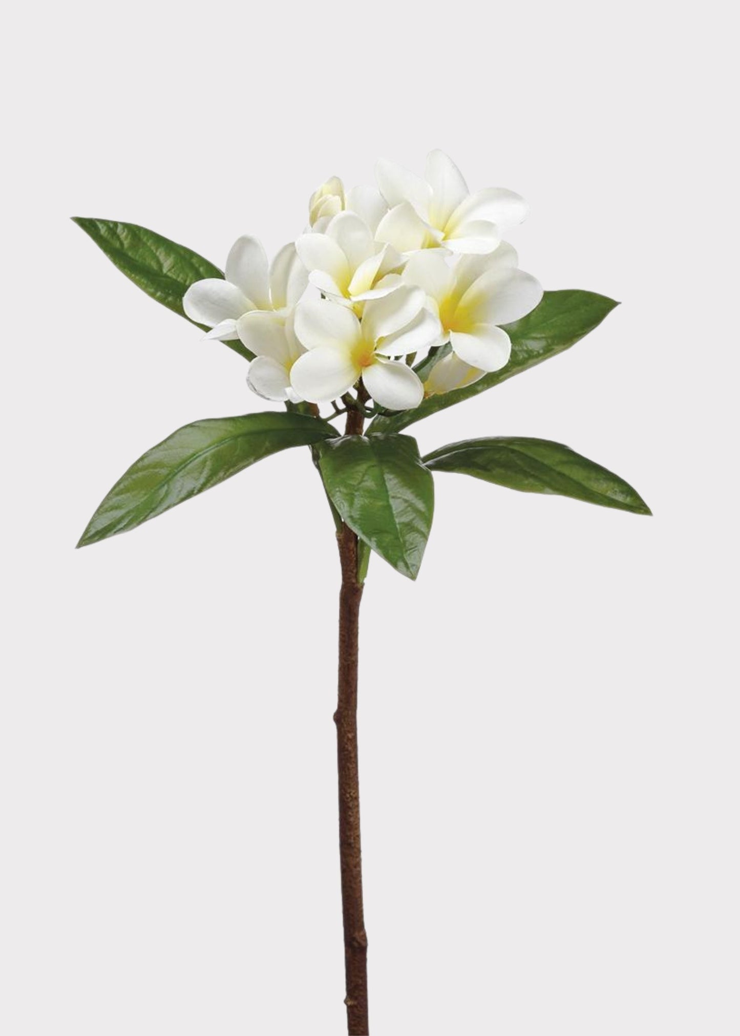 Tropical Plumeria Artificial Flowers in Cream Yellow - 22"