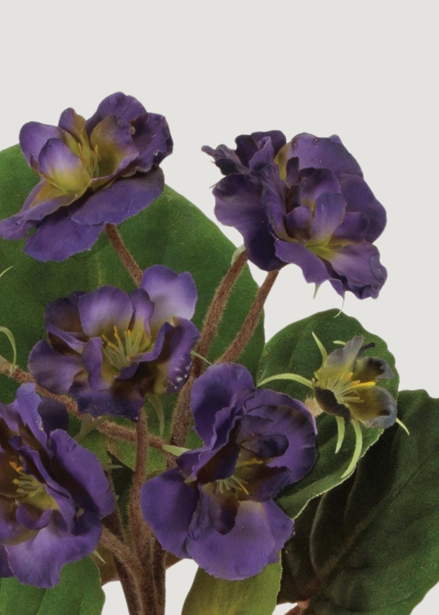 Purple Fake Potted African Violet Plant in Terra Cotta Pot - 8"