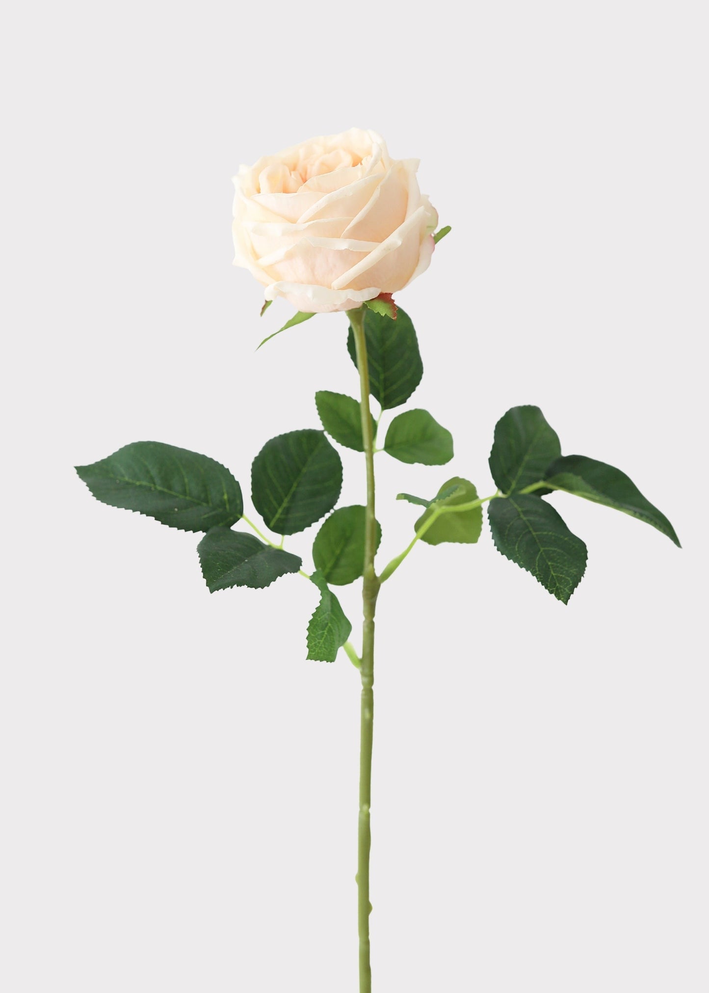 Peach Real Touch Rose Artificial Flower - 24"