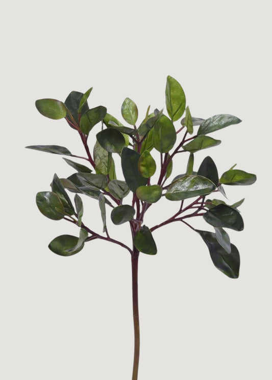 Deluxe Artificial Peperomia Leaf Branch - 36.25"