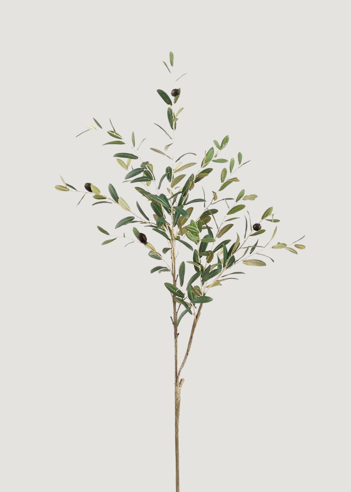 Tall Fake Olive and Leaf Branch - 41"