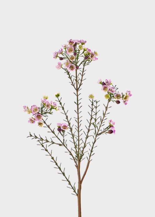 Lavender Fake Wildflower Waxflower Spray - 31"