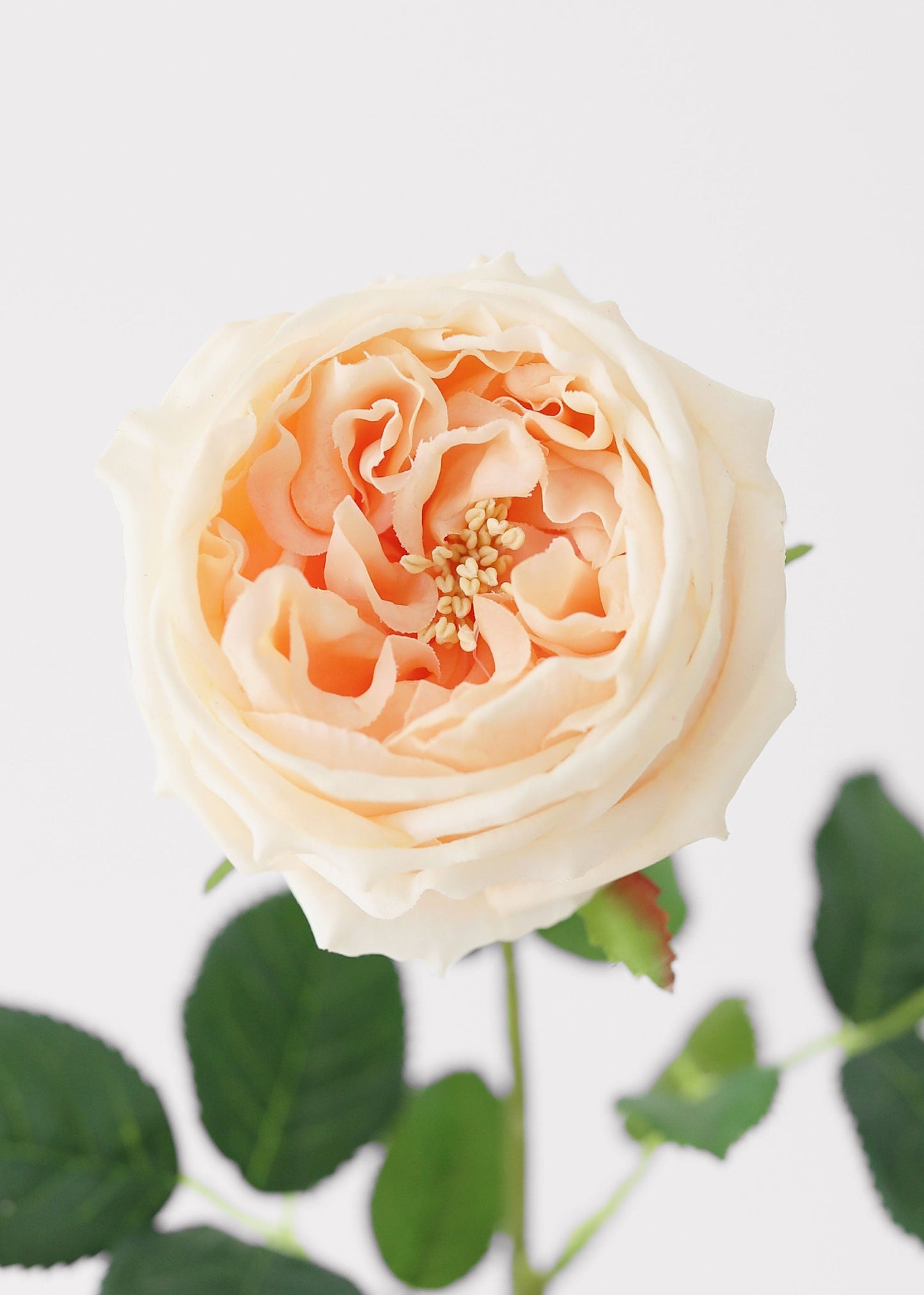 Peach Real Touch Rose Artificial Flower - 24"