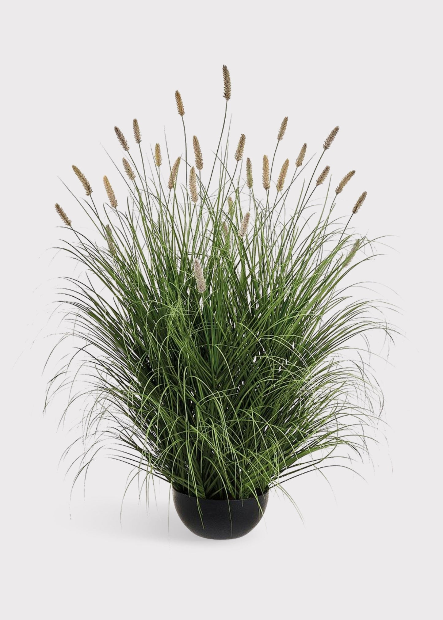 Large Artificial Potted Foxtail Grass Plant - 47"