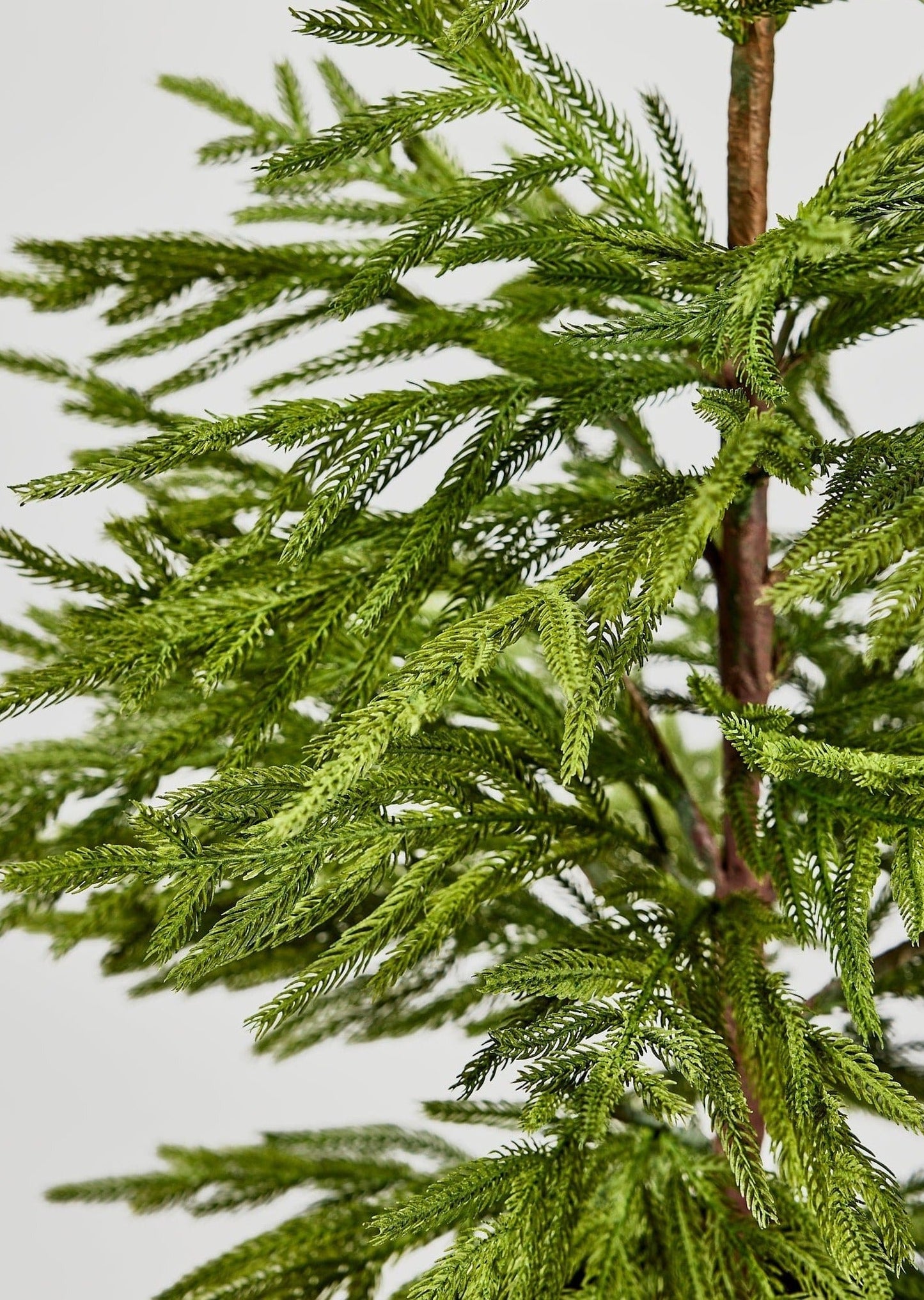 AfloralTM Artificial Norfolk Pine Tree - 36"