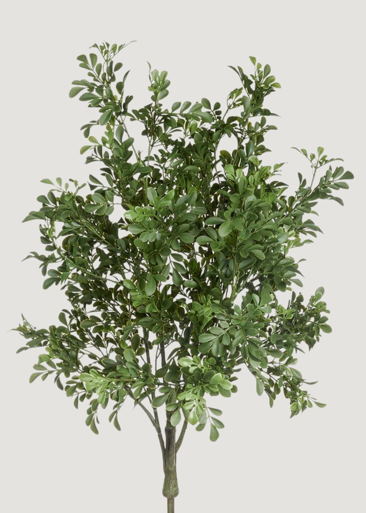 UV Treated Indoor/Outdoor Fake Boxwood Plant - 34"