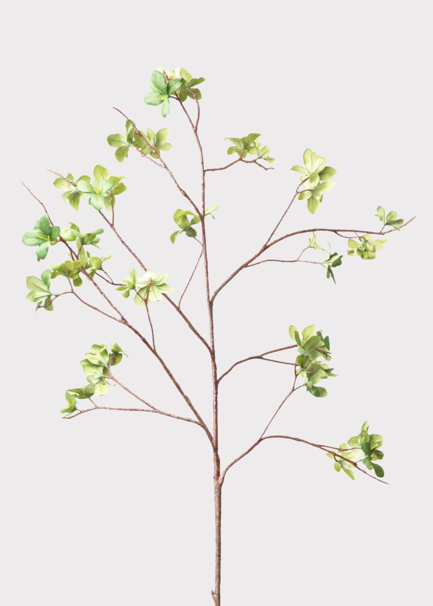 Tall Artificial Young Leaf Branch - 43"