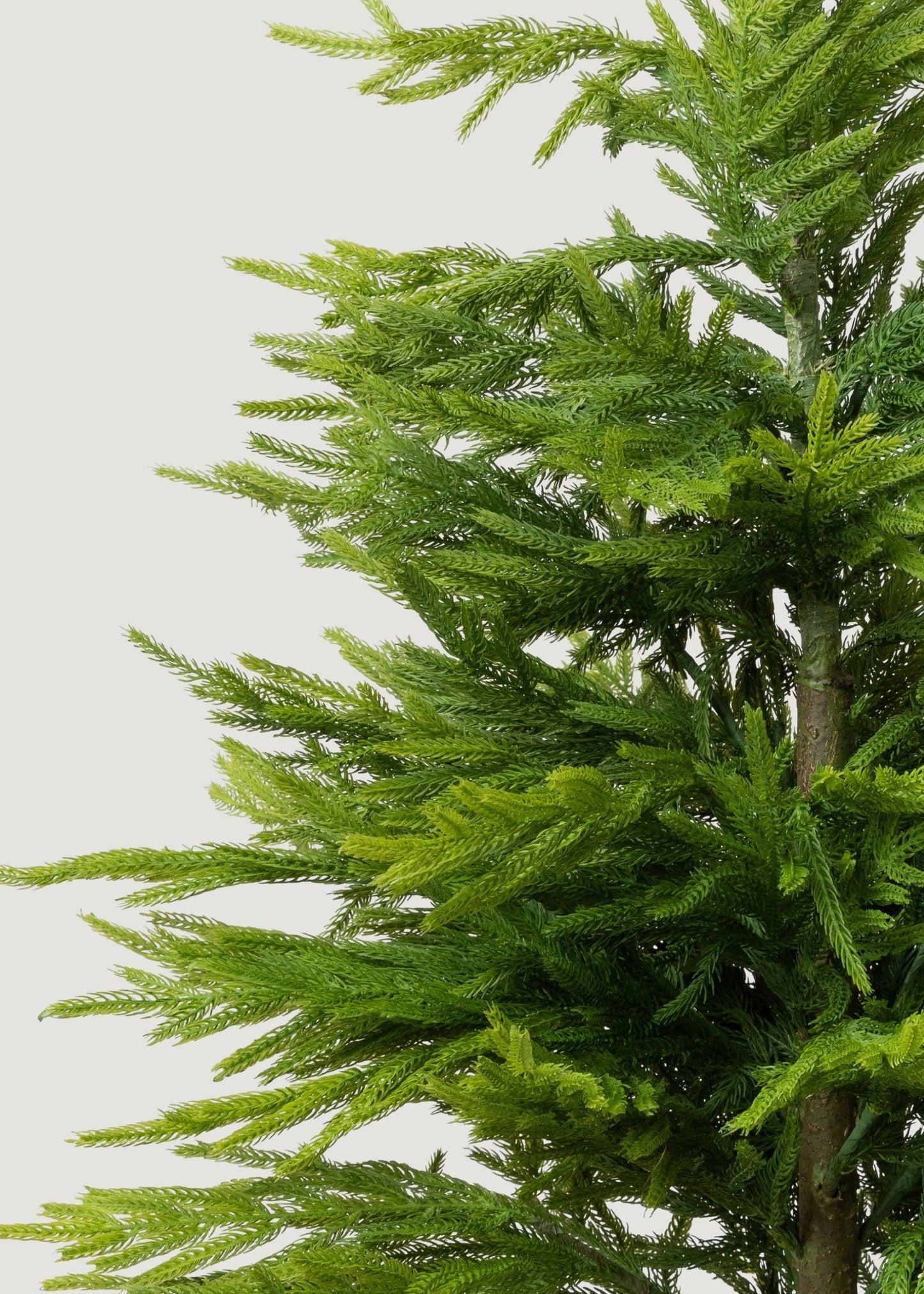 AfloralTM Fake Potted Norfolk Pine Tree - 48"