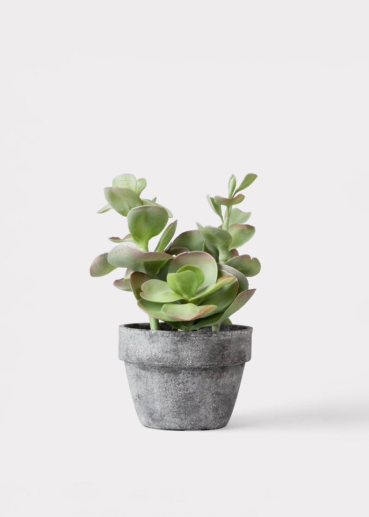 Fake Potted Artificial Succulent Plant - 16.5"