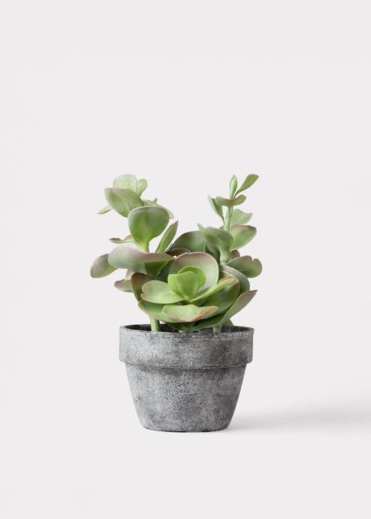 Fake Potted Artificial Succulent Plant - 16.5"