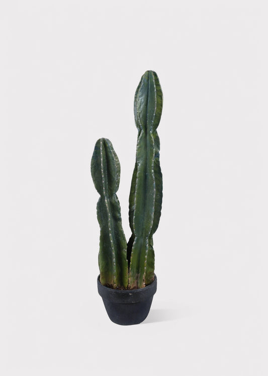 Fake Potted Cactus Plant - 33.75"