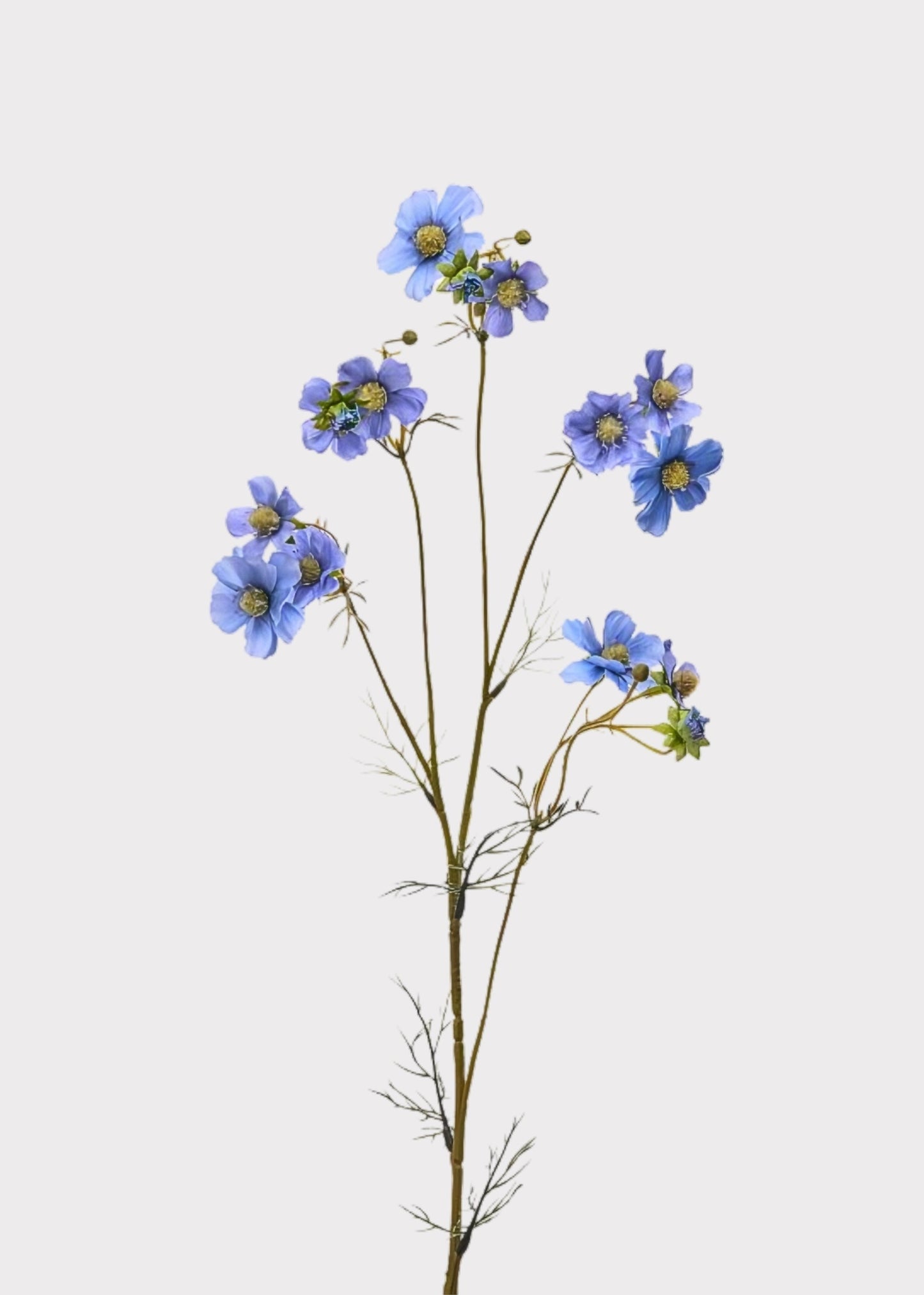 Blue Fake Summer Cosmos Wildflower Spray - 38"
