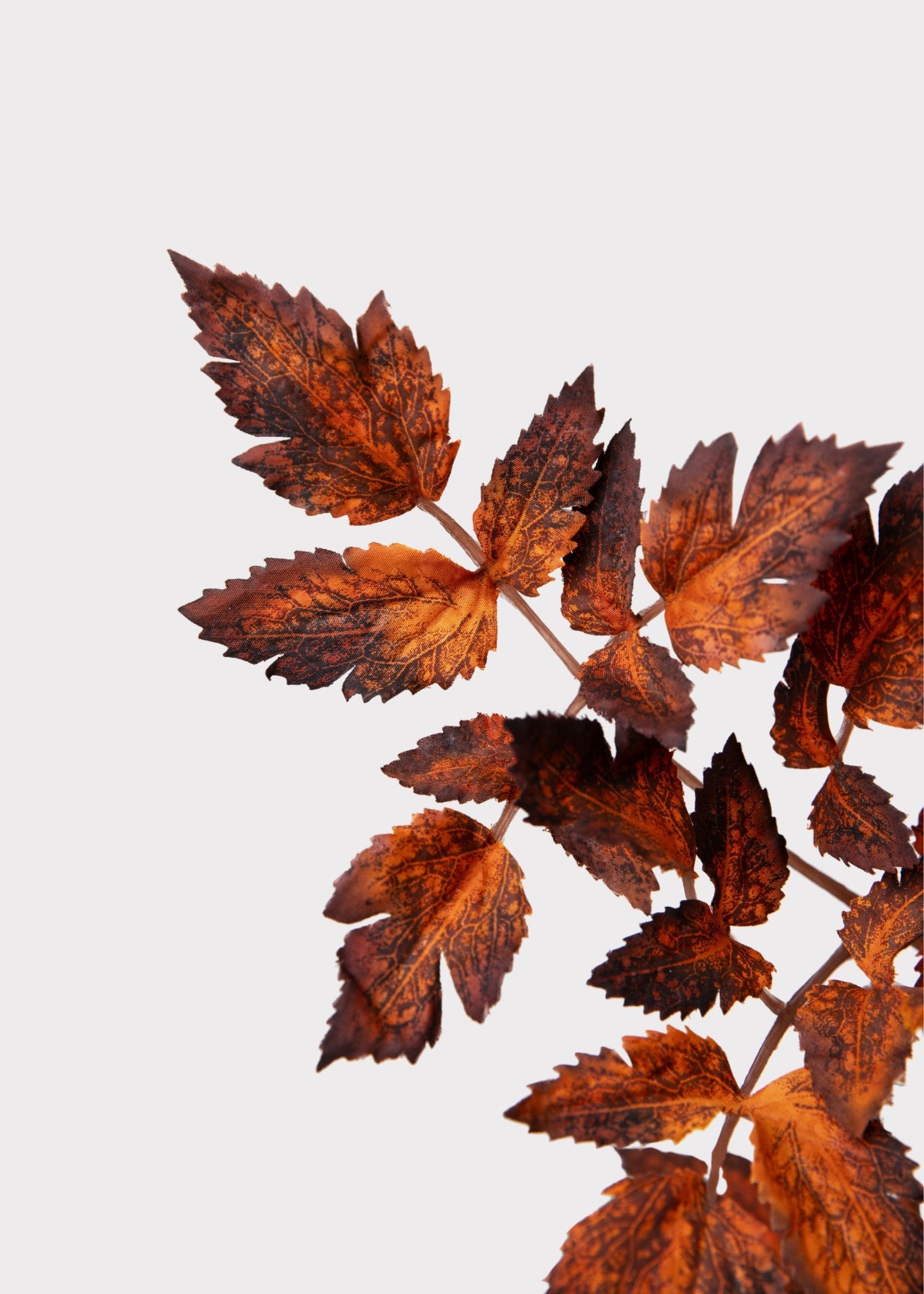 AfloralTM Faux Cimicifuga Leaf Spray in Brown - 31"