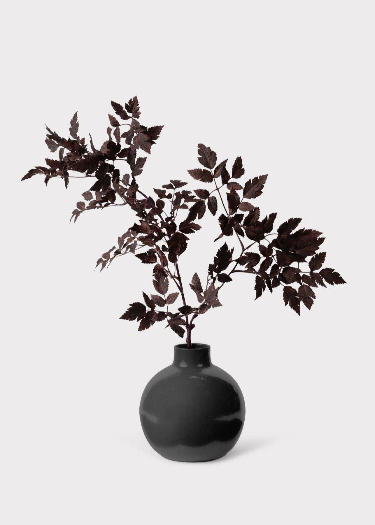 AfloralTM Small Round Ceramic Vase in Glossy Slate - 8"