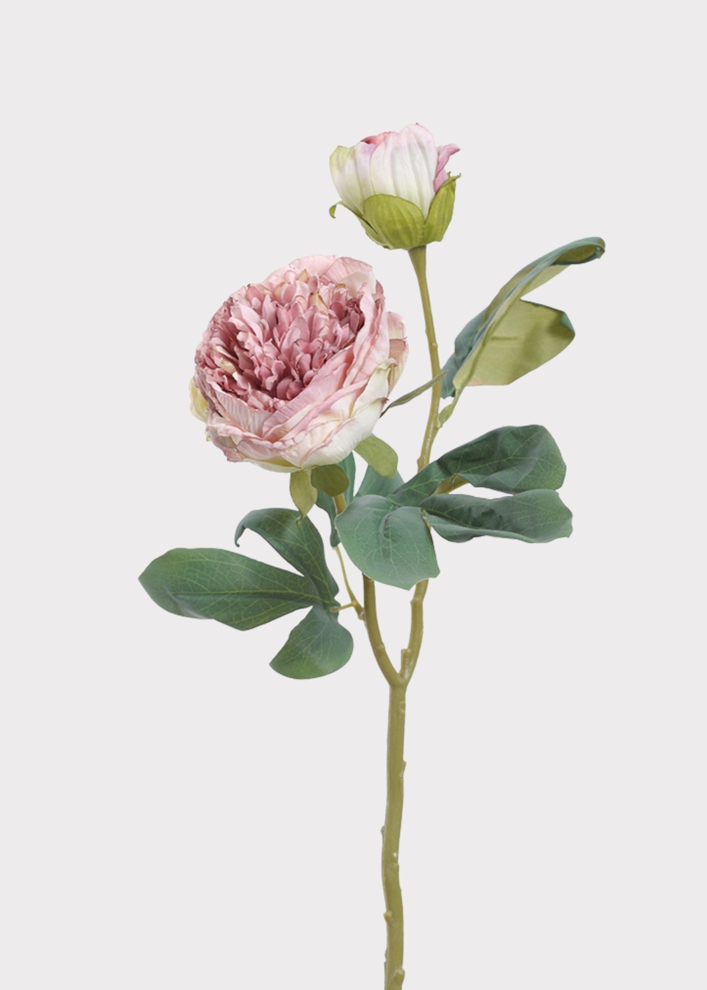Lavender Pink Artificial Petite Peony Flower - 19"
