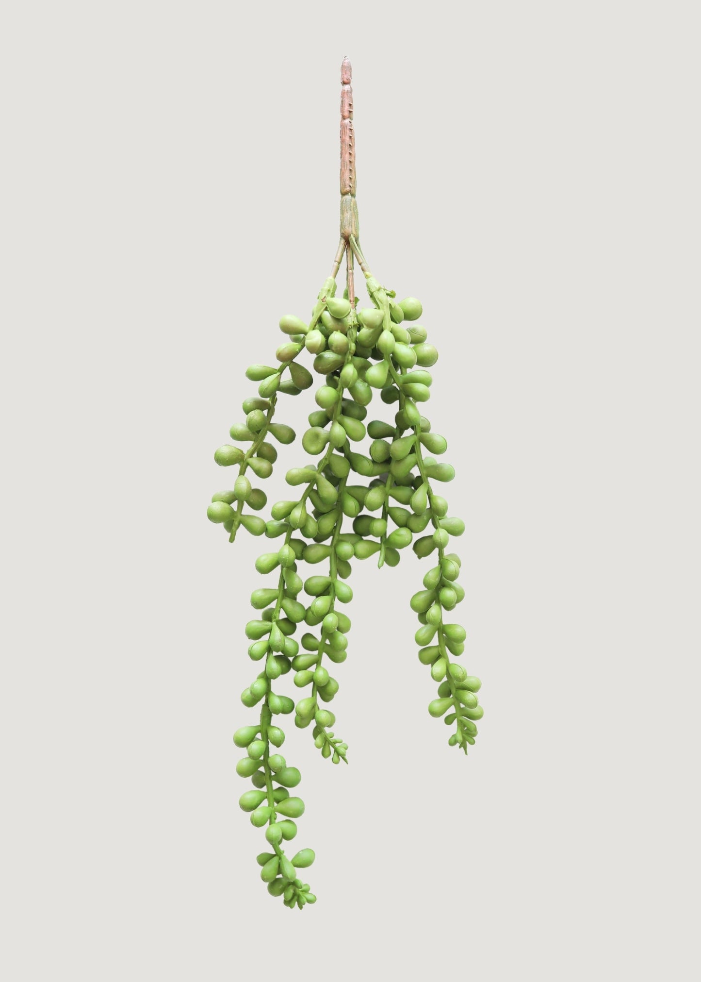 Artificial String of Pearls Hanging Succulent - 13"