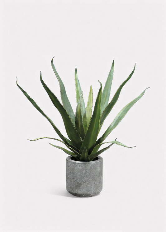 Fake Potted Agave Cactus Plant in Cement Pot - 19"