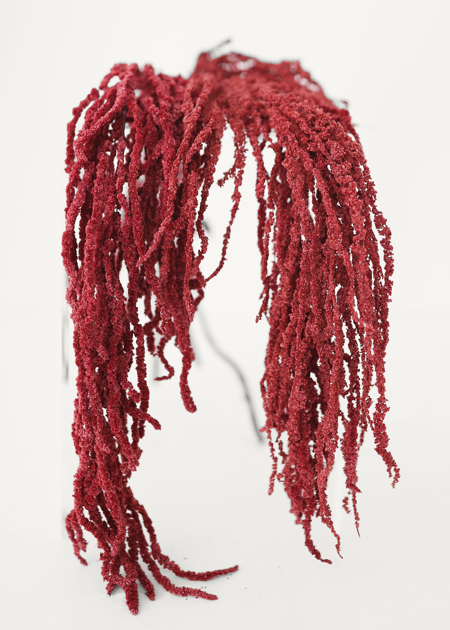 Burgundy Preserved Hanging Amaranthus - 32-40"