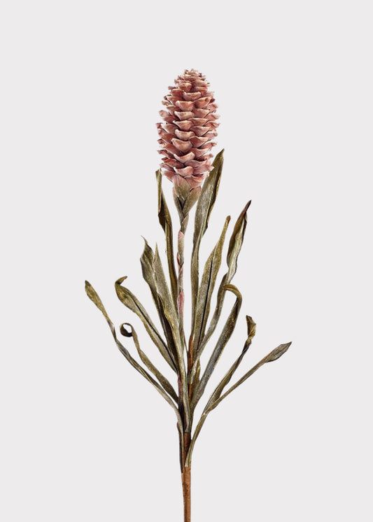 Dried Look Tropical Ginger Fake Flower in Earthy Brown - 33.5"