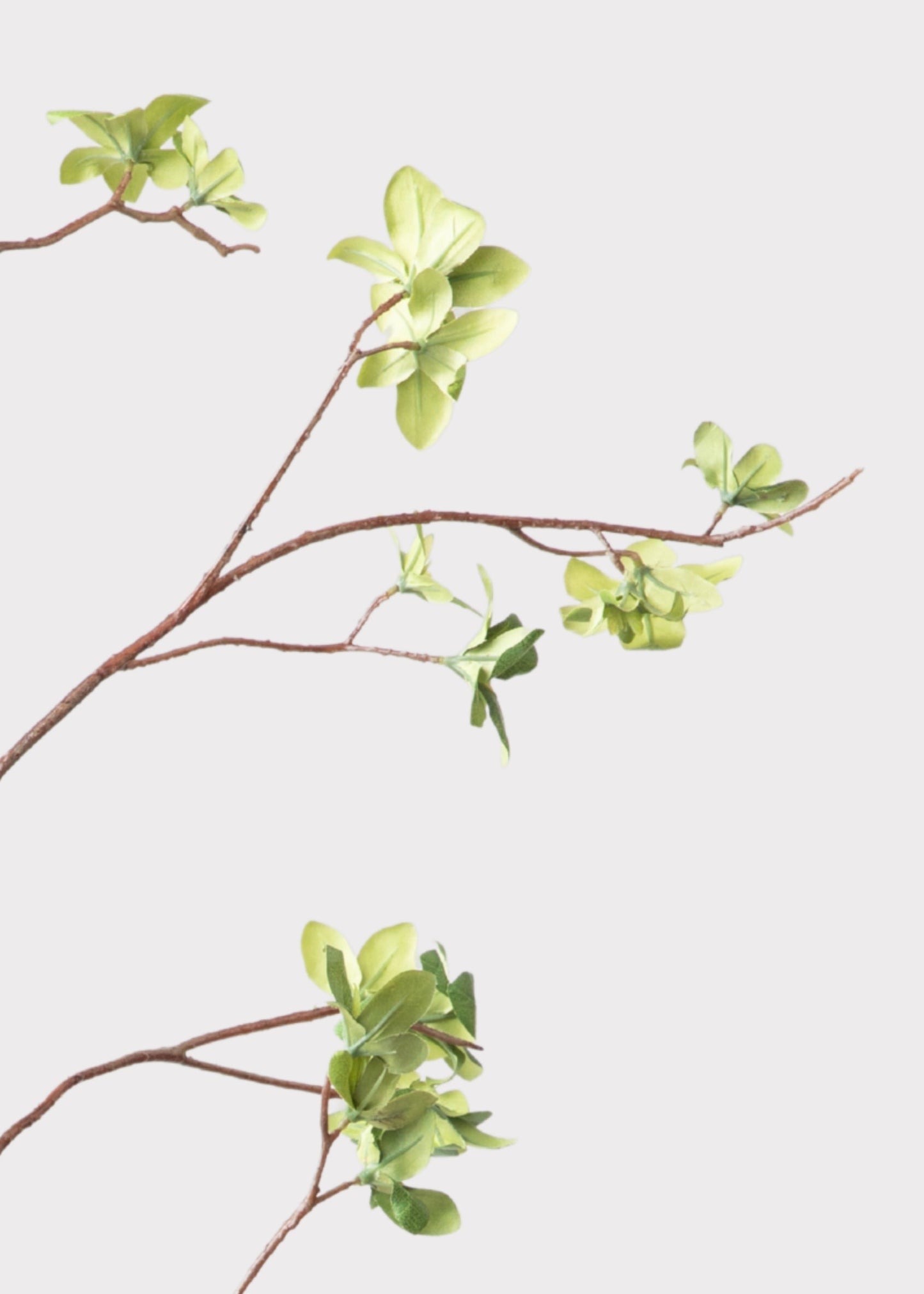Tall Artificial Young Leaf Branch - 43"