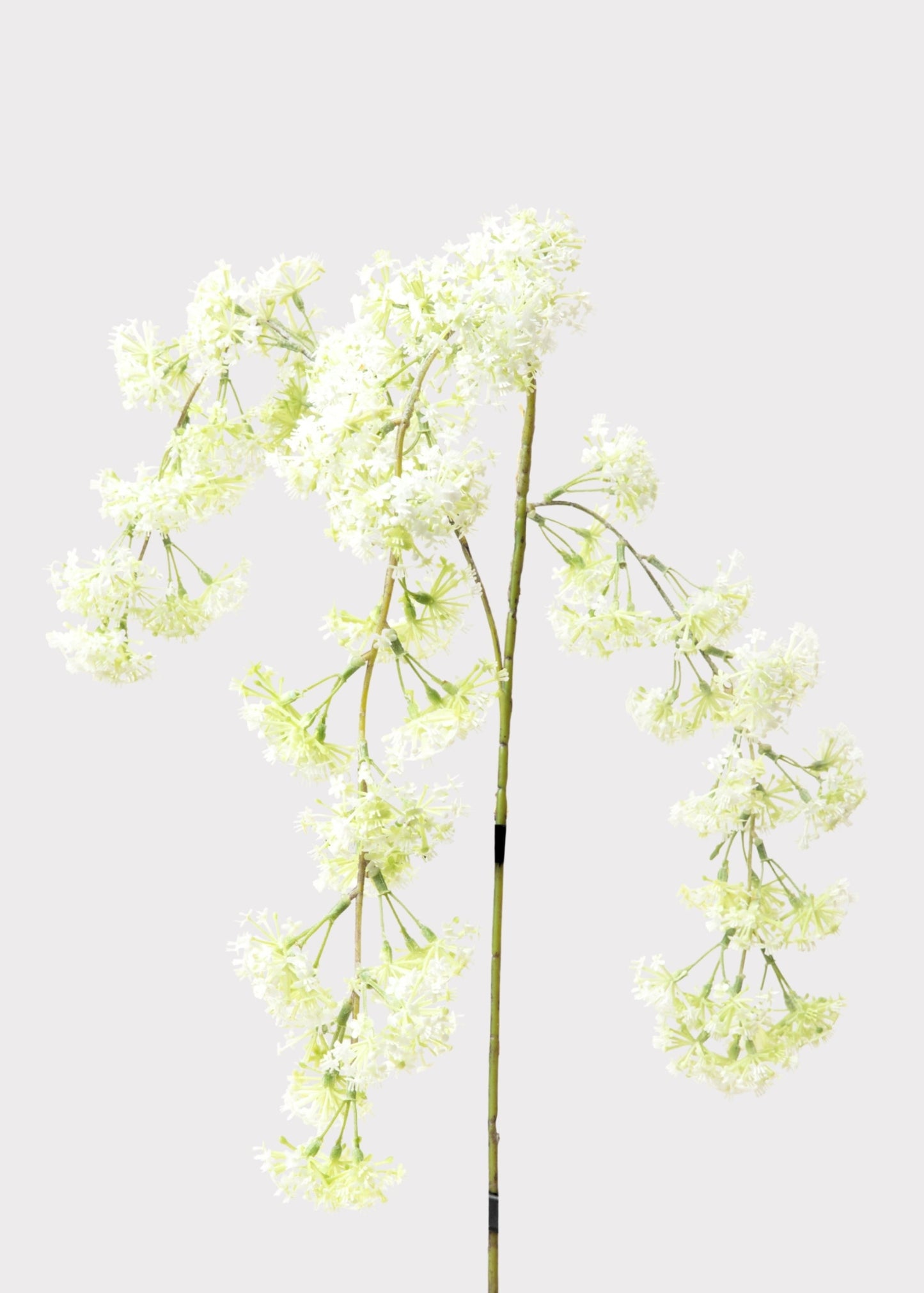 Faux Laurel Hanging Flower Branch in White - 30"