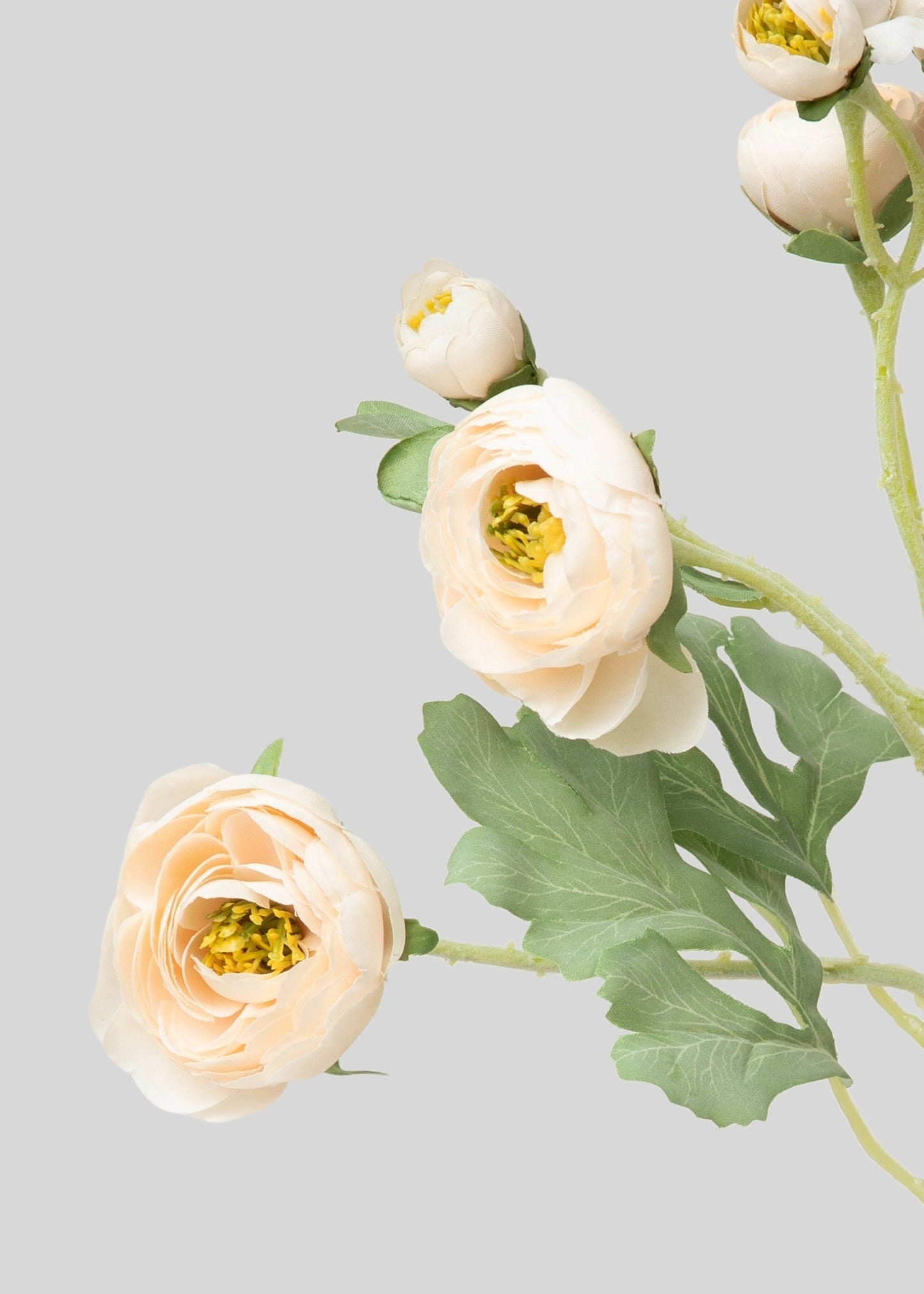 Artificial Blooming Ranunculus Flowers in Blush Peach - 21"