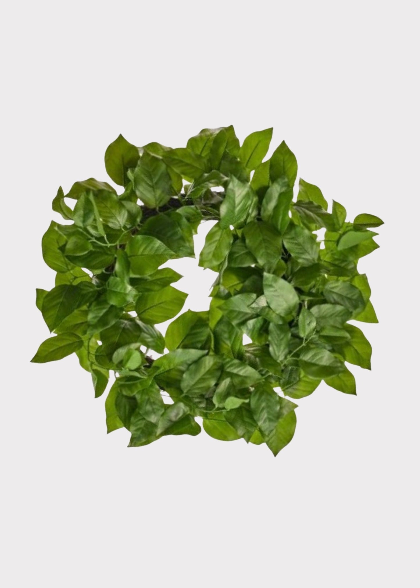 UV Treated Indoor/Outdoor Real Touch Salal Leaf Wreath - 24"