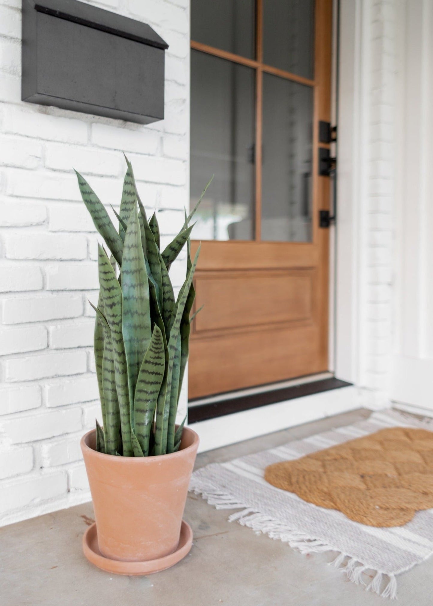 UV Treated Outdoor Fake Potted Sansevieria Snake Plant - 35"