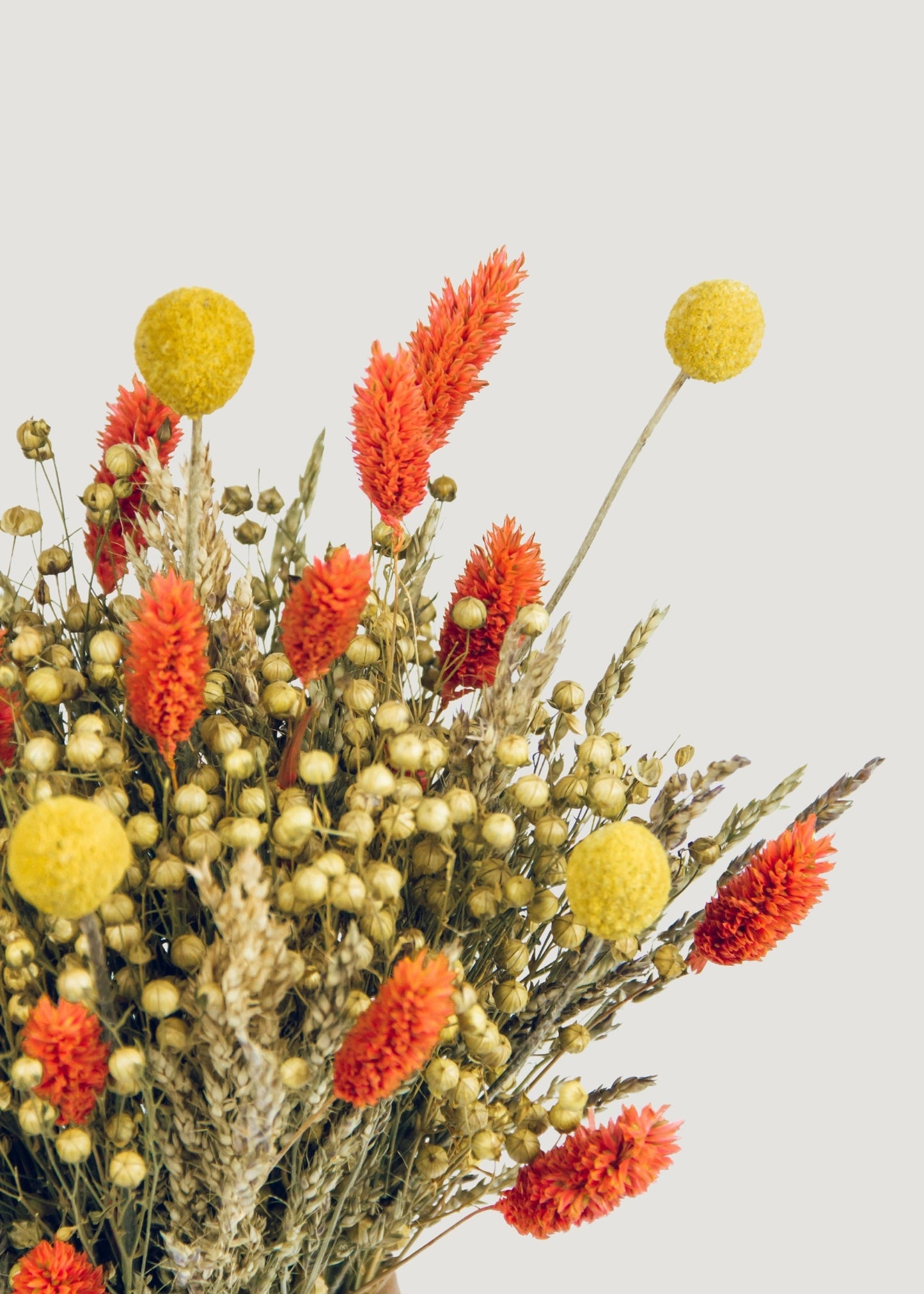 Bundle of 10 Dried Yellow Craspedia Billy Button Flowers - 22"