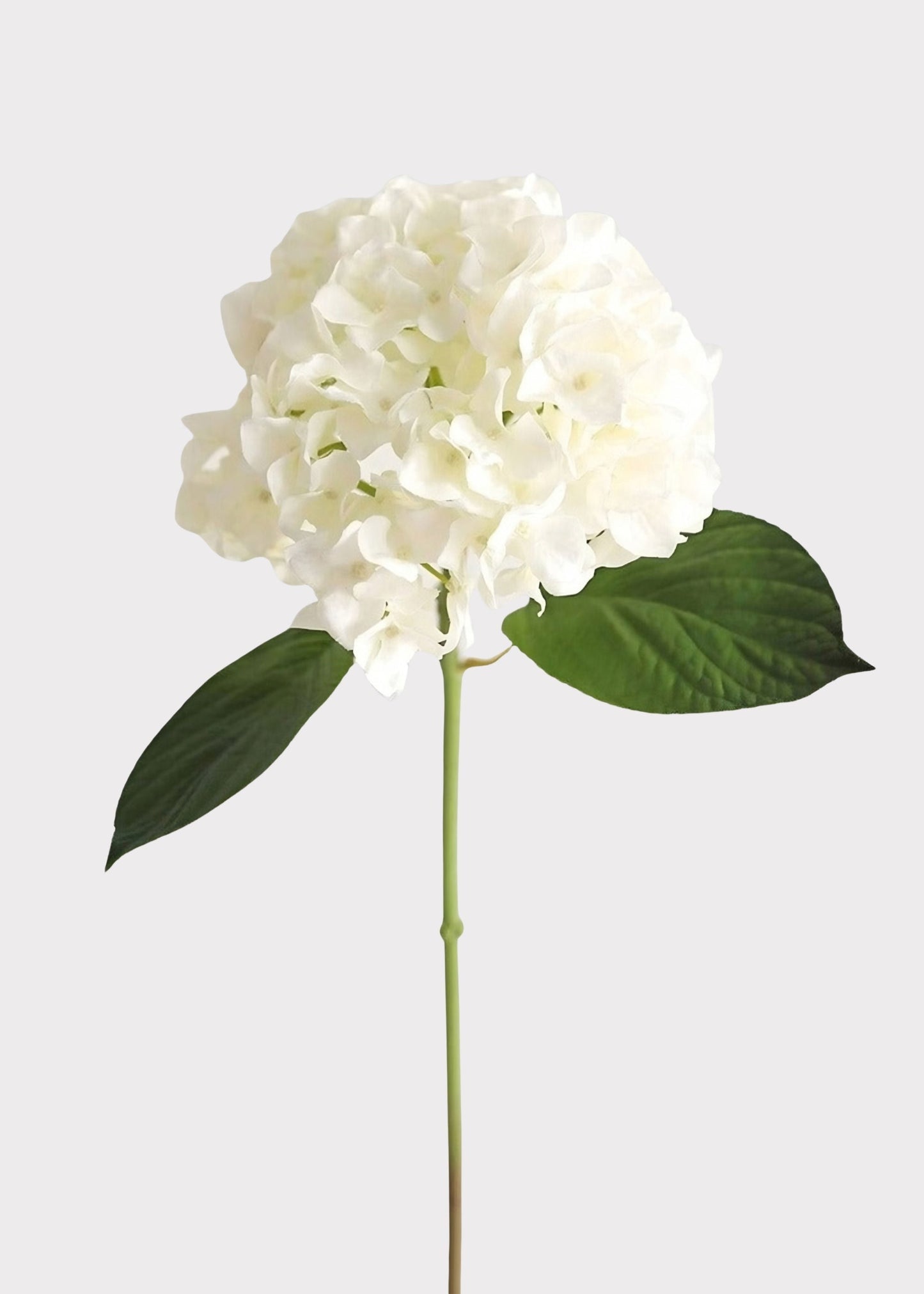 SAVE - Fake Flowers Real Touch Hydrangea Stem in Talc White - 18"