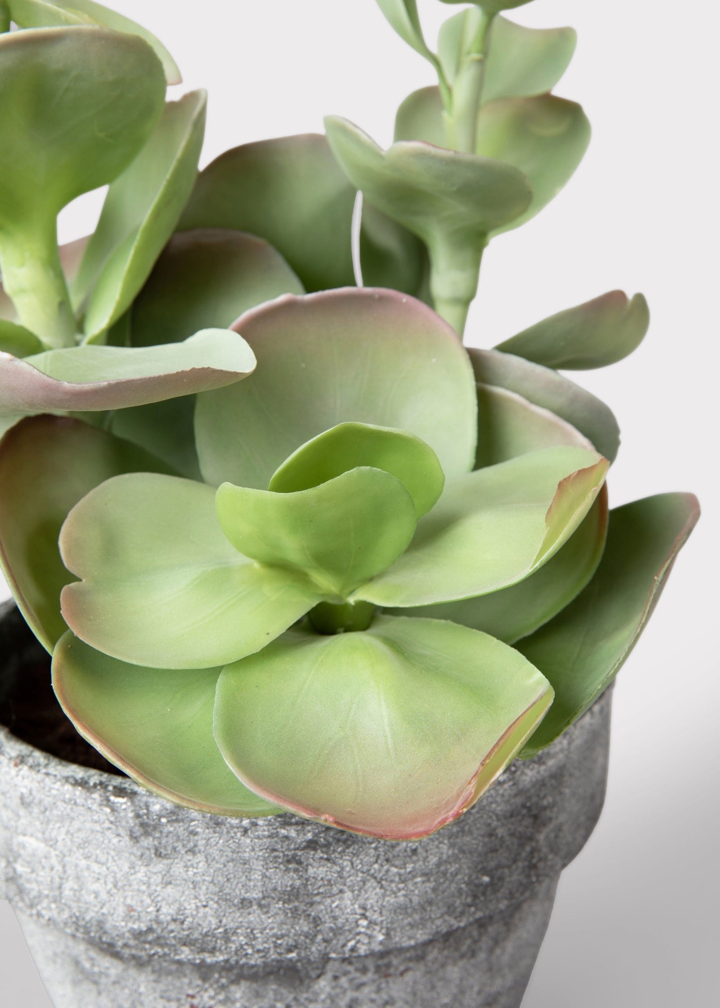 Fake Potted Artificial Succulent Plant - 16.5"