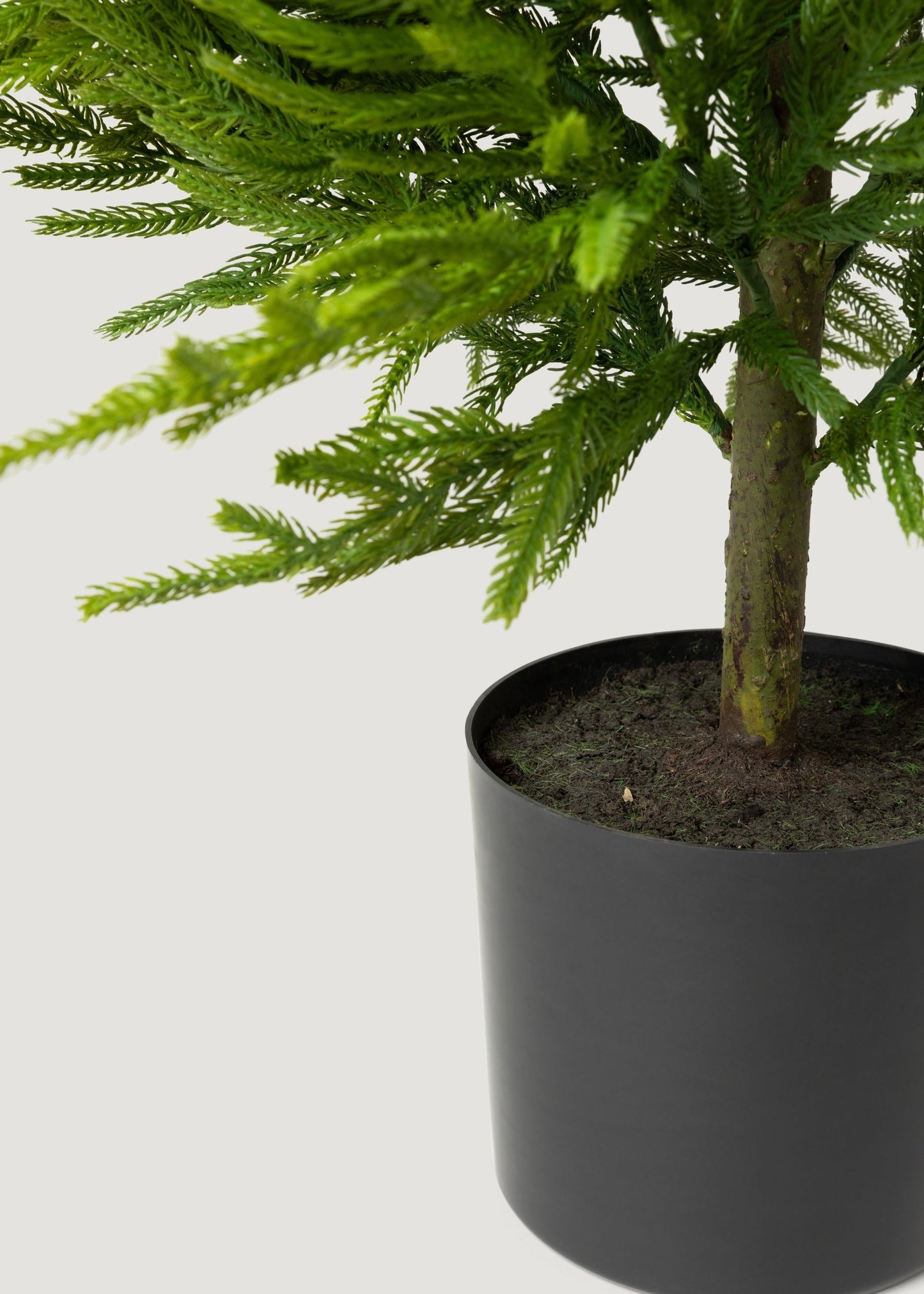AfloralTM Fake Potted Norfolk Pine Tree - 48"